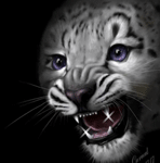  Леопард (<b>11</b>) 