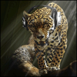 Леопард в наушниках