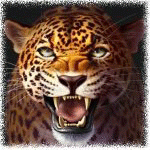 Леопард с блестящими злыми глазами