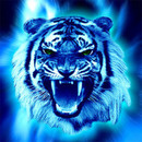 Морда рычащего тигра на синем фоне