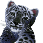 Милашка-леопард