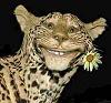 Веселый гепард с цветком