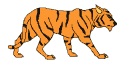Спокойный тигр