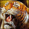 Саблизубый тигр