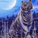 Тигр на фоне водопадов
