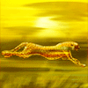 Гепард, бегущий по африканской пустыне залитой солнечным ...