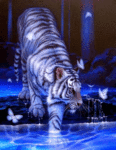 Тигр заходит в воду