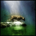Леопард у пруда