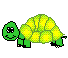 Желтая черепаха