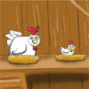 Курицы и яица